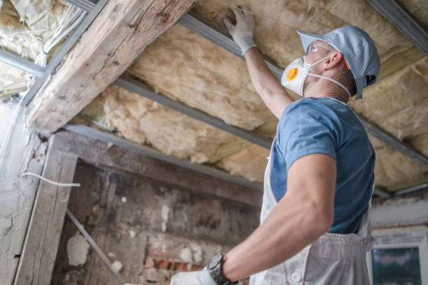 Best Insulation for Specific Applications in Pevely, MO