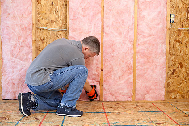 Best Types of Insulation in Pevely, MO